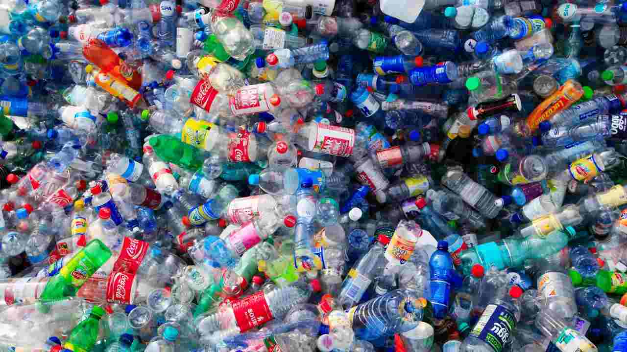I rischi per l’esposizione alla plastica