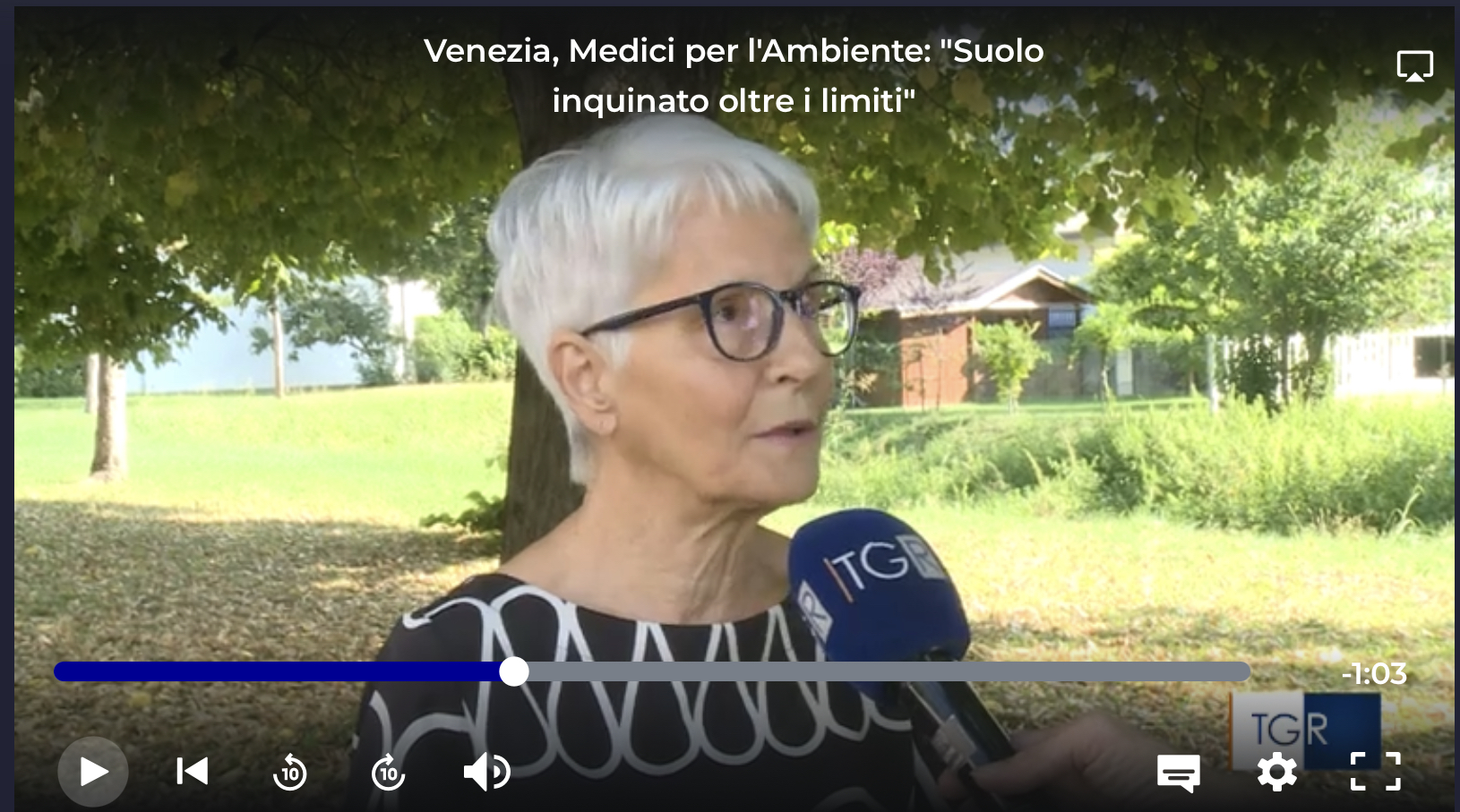 Venezia, Medici per l’Ambiente: “Suolo inquinato oltre i limiti”