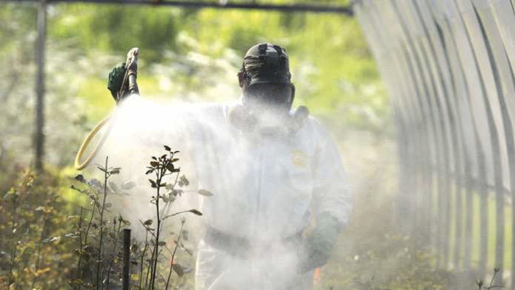 La campagna di lobbying durata due anni per sabotare il regolamento europeo per la riduzione dei pesticidi