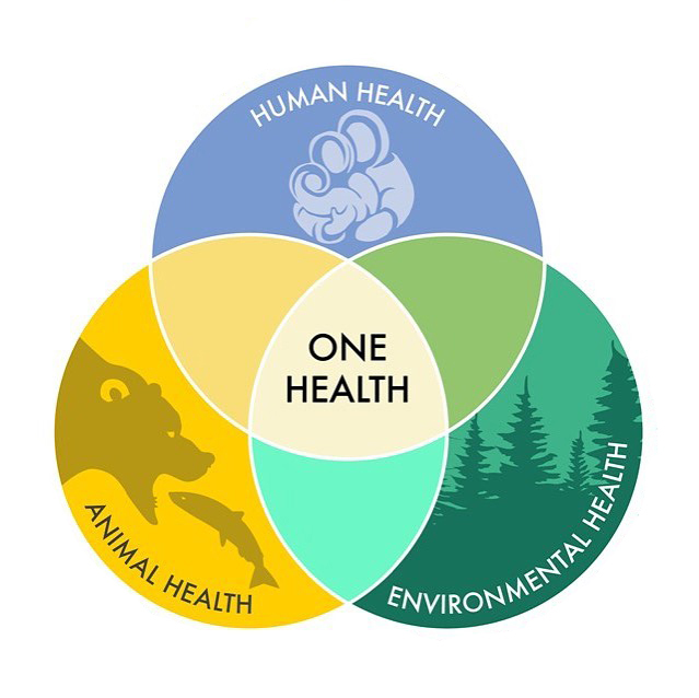 Master di Università di Catania in collaborazione con ISDE: L’approccio One Health per prevenire gli effetti del cambiamento climatico