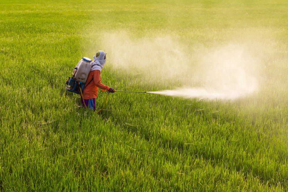 Non è cancellando le norme su pesticidi e salvaguardia della biodiversità che si salvano gli agricoltori. Occorre cambiare le politiche sinora tutte a favore delle grandi aziende