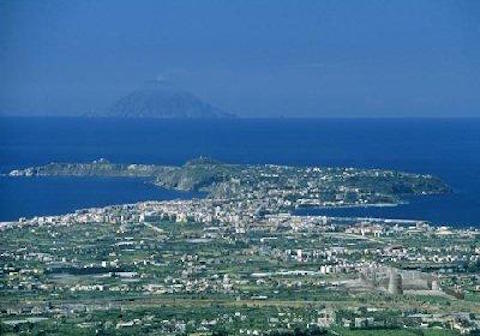 Abbattuti centinaia di alberi di ulivi nella Piana di Milazzo per fare spazio a nuove serre, la denuncia di “Medici per l’Ambiente”