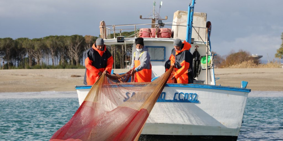 Composti potenzialmente cancerogeni nel 60% del pescato in Calabria