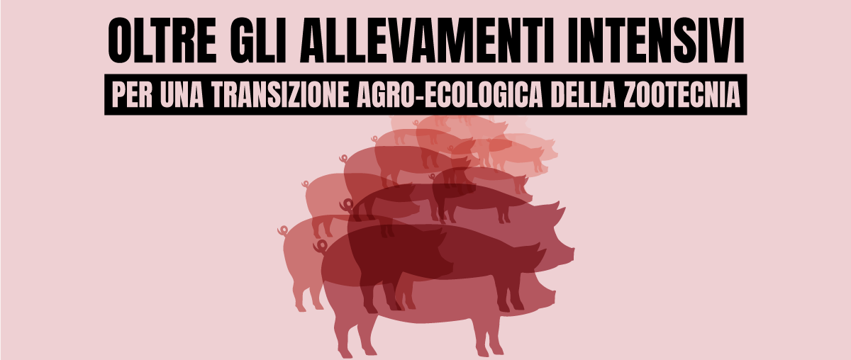 L’inquinamento degli allevamenti intensivi contribuisce alla morte di 50.000 persone in Italia, in particolare in Pianura Padana