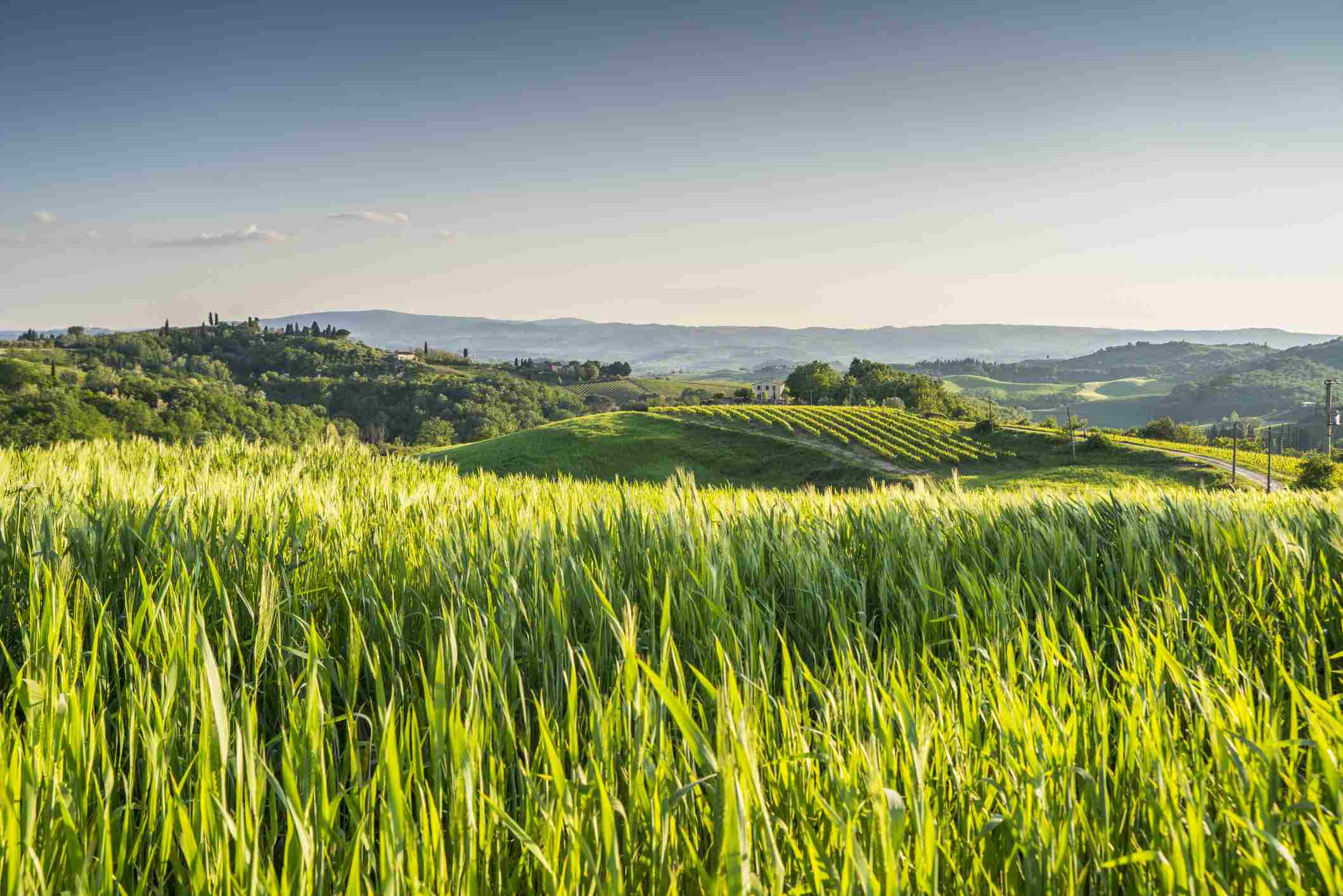 ISDE, AIE e Minds for One Health inviano osservazioni alla Commissione Ambiente del Senato sul decreto legge Ambiente